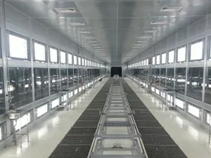 Sanding Room